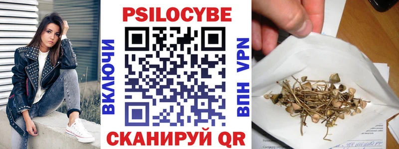 Купить закладки  Вязники  Псилоцибиновые грибы GOLDEN TEACHER 